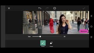 HDR 4K  portrait | Professional Retouching lookCannR5   PicsArt color grading master #00910