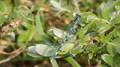 Les Réserves naturelles en Nord-Pas de Calais