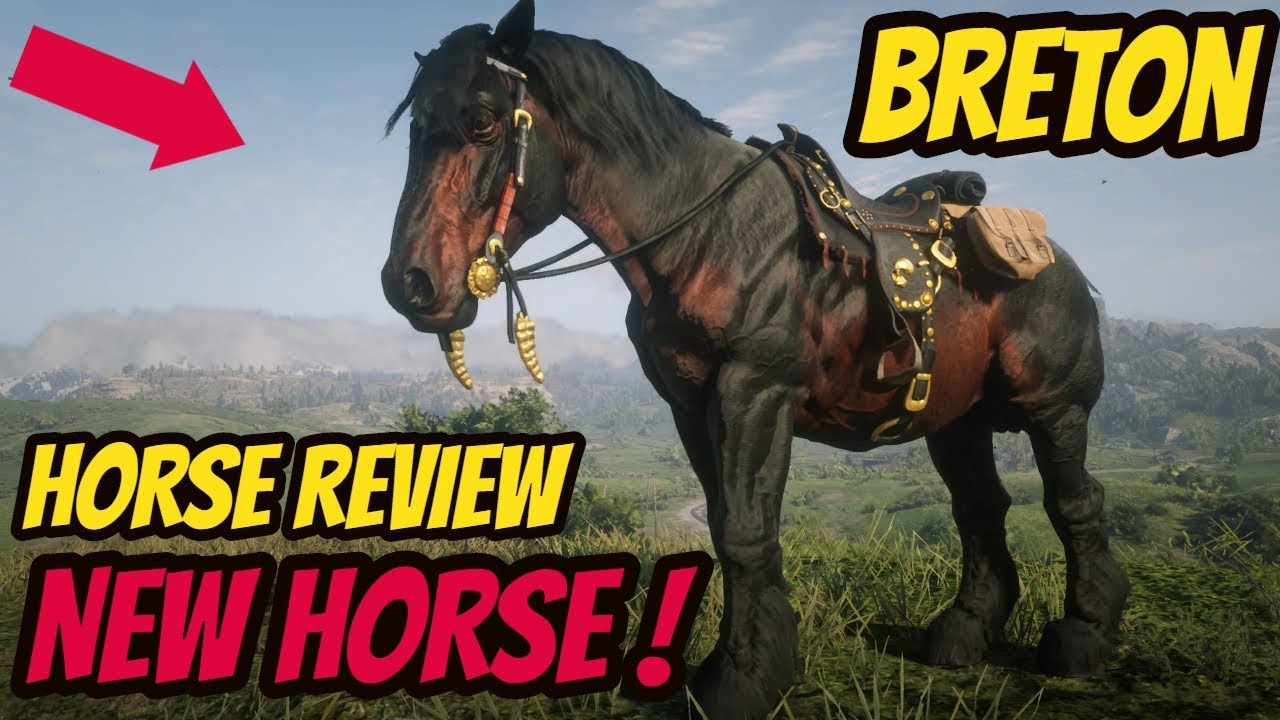 Breton Horse Review ! New Horses WORTH BUYING ?! Red Online - YouTube