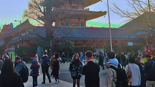 Sensōji Temple Walk Through