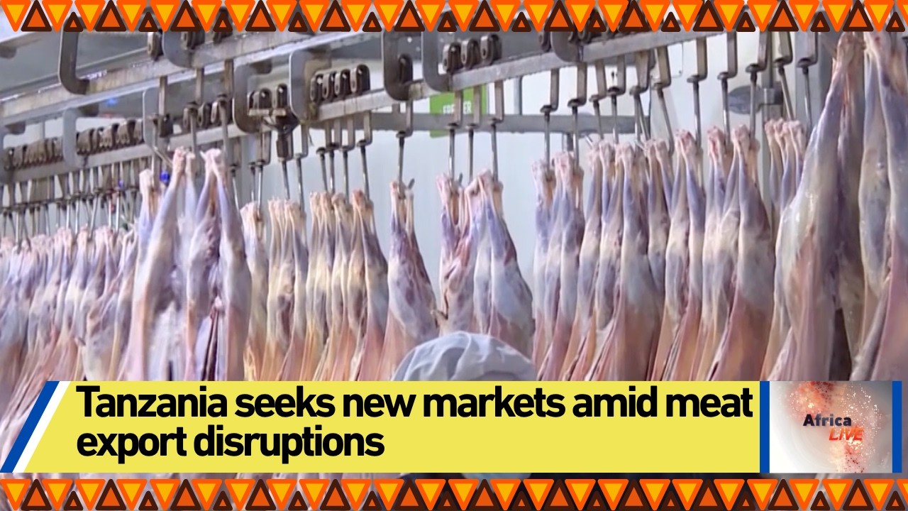 Tanzania seeks new markets amid meat export disruptions Tanzania seeks new markets amid meat export disruptions
