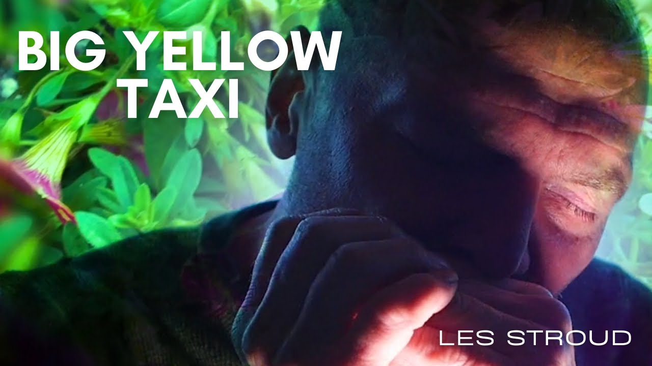 Big Yellow Taxi | Official Music Video | Les Stroud