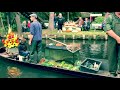 Spreewald. Удивительной красоты места для отдыха и переключения от городской суеты