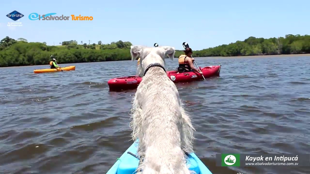 Tour de Kayak en Intipucá, La Unión El Salvador Turismo YouTube