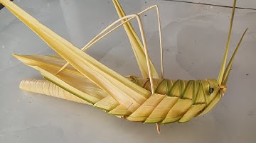 Cách làm con cào cào bằng lá dừa đơn giản đẹp nhất.( The best way to make a simple coconut leaf ra )