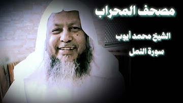 من أعذب ما قرأ محمد أيوب | سورة النمل من تراويح الحرم