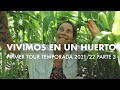 Vivimos en un Huerto | Primer Tour de Temporada! (Parte 3) #HuertoenBancales #Maizal #ComidaLibre