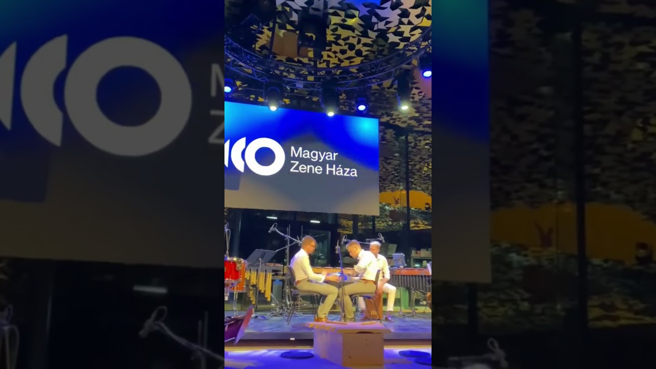 professional percussionists tried our handpan I #handpan  #maghandpan