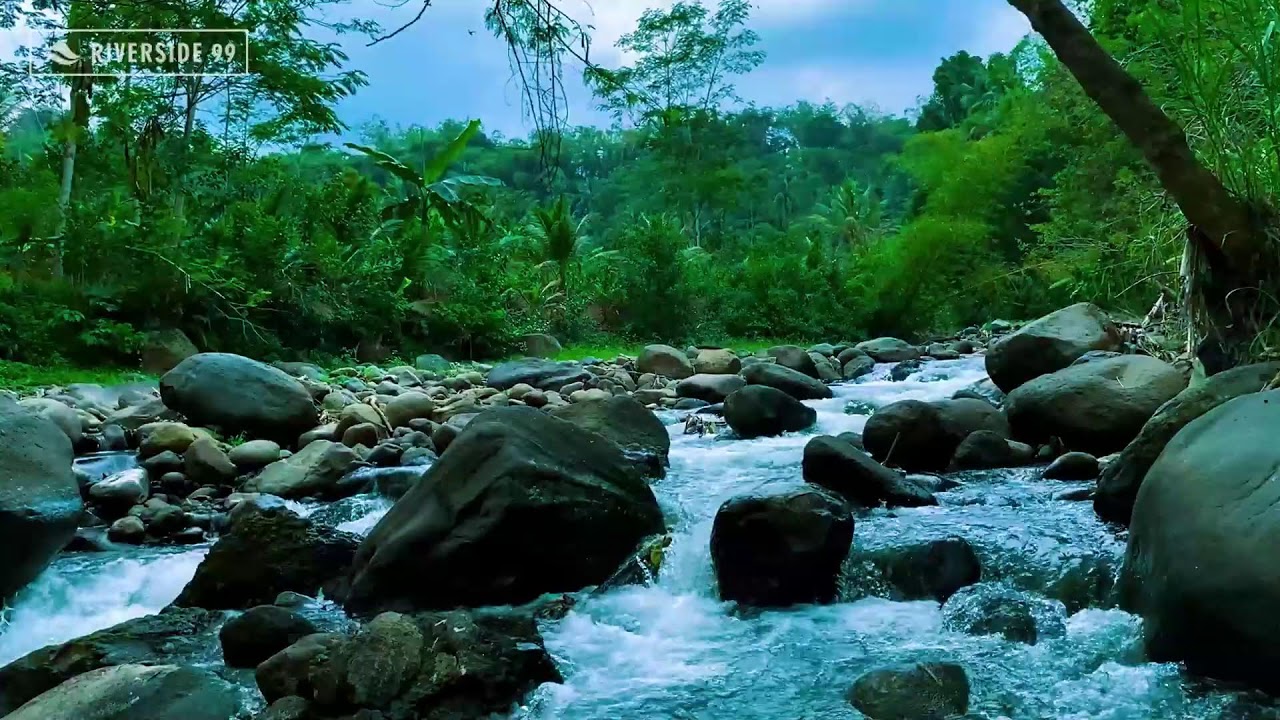 River Sounds for Sleeping Peacefully | Soft River Flow White Noise 24/7 Stream