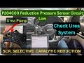 Check Urea System 2 || How To Fix P204C00 || How To Fix Car Urea System