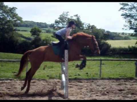 Connie jumping at homee (: