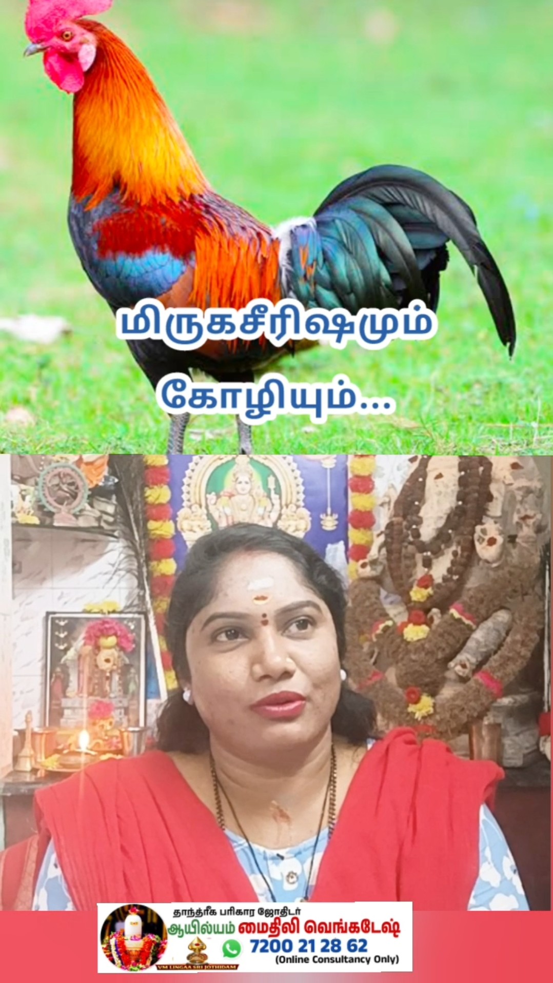 👉🏼இன்றைய ராசிபலன்✡️ - ShareChat