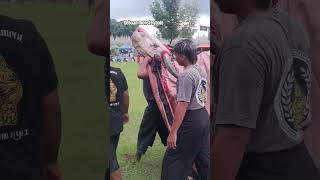 Keboan Gawede Boloo bantenganmalang bantengan mberot