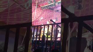        status ytshorts tamasha 