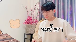 จมน้ำตา - NEW JIEW [COVER] ระนาดเอก | ขุนโปเต้ นักรักมือระนาด