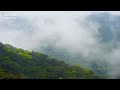 世界遺産「もののけ姫」の森の舞台　 屋久島・白谷雲水峡 