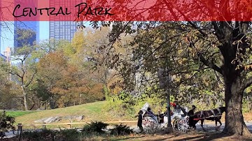 Touring The Big Apple (CIS 141 YouTube Video Project)