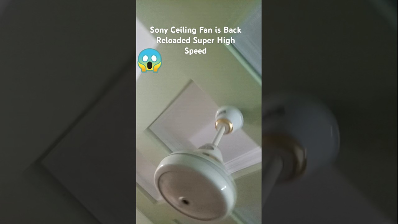 Sony Ceiling Fan Returns || Smooth Performance