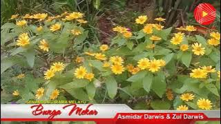 Senandung MELAYU Vol 1 