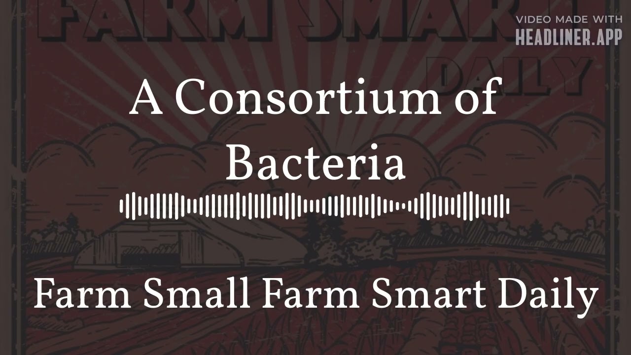A Consortium of Bacteria | Farm Small Farm Smart Daily