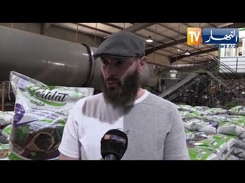 البويرة تحويل فضلات الدجاج إلى أسمدة طبيعية مشروع يساهم في التنمية الفلاحية