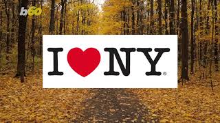 Fall Foliage Maps To Help You Find The Best Leaves
