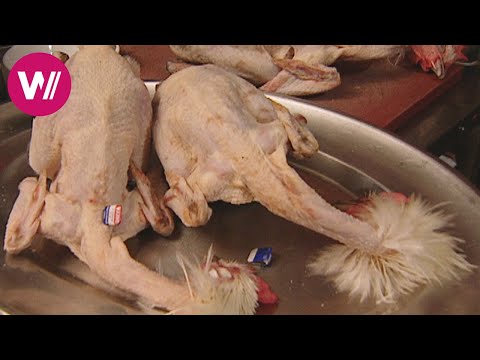 Video: Bresse, Frankreich und das beste Huhn der Welt