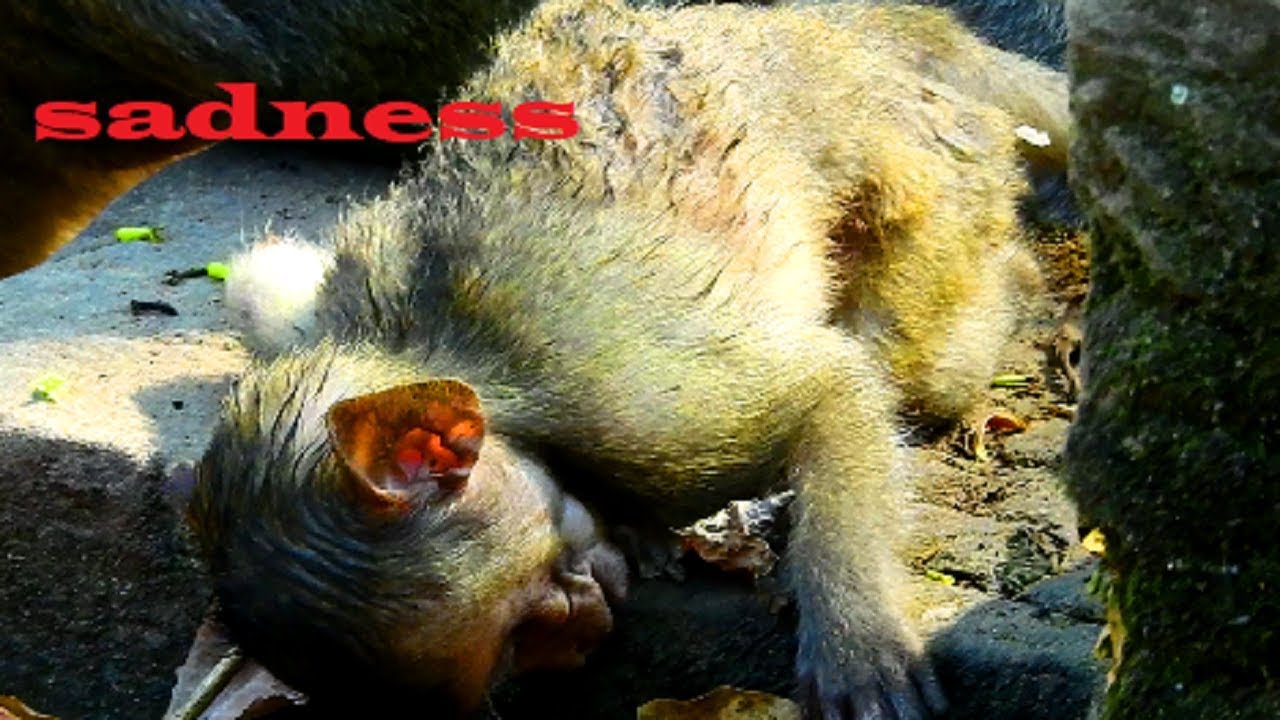 Million Sadness Janna !! Don't leave me alone, Janna very scary cos afraid mum leaving