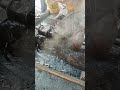 the blacksmith's equipment gets hot #blacksmith