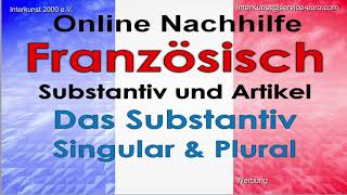 Online Nachhilfe Unterricht Französisch – Le singulier & le pluriel – Prüfungsvorbereitung