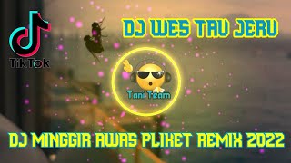 DJ MINGGIR AWAS PLIKET HO OH IYO HO OH IYO MAS - Dj Wes Tau Jeru Slow Beat Terbaru 2022 Remix