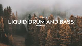 Liquid Drum and Bass Mix 2023 | Set 04 | Anwius, Muffler, Colossus, Justin Hawkes, Maduk, Low:r