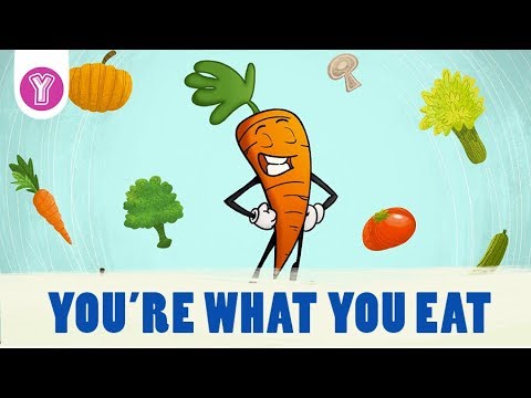 The Importance of a Balanced Meal (SmartKids)