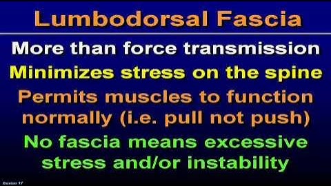 Serge Gracovetsky - Fascia Congress Part # 1 of 3 - Boston 2007.wmv