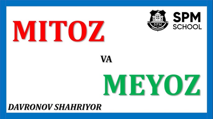 Tasodifan opaning mushuk ichida porno sperma Porno video Pervouralsk