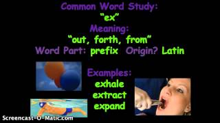 Famous Common Word Study: "ex" Profile