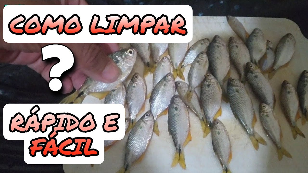 DICAS - COMO LIMPAR LAMBARI (PIABA) RÁPIDO E FÁCIL