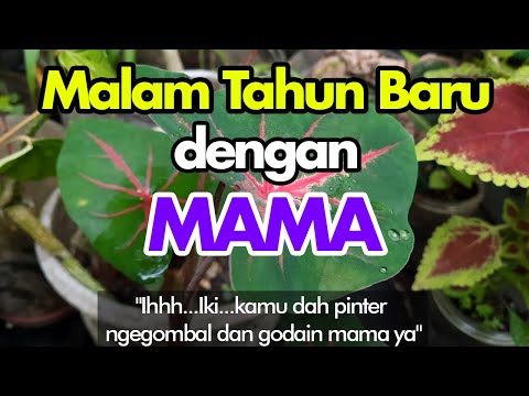 Malam Tahun Baru Dengan Mama 💞 💕