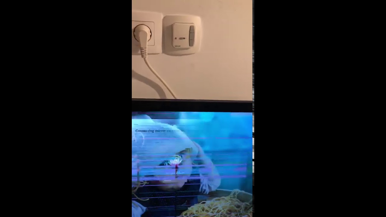 HELP Purple lines on the screen MacBook Pro 2017 13’ YouTube