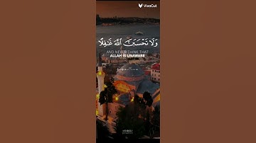 #ا قران كريم ايات مؤثره من سوره ابراهيم بصوت تامر السعيد