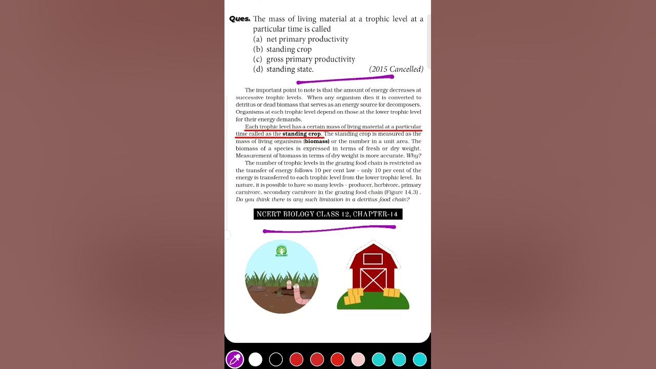 MCQs For NEET, Ecosystem, Standing Crop and standing State , Biology