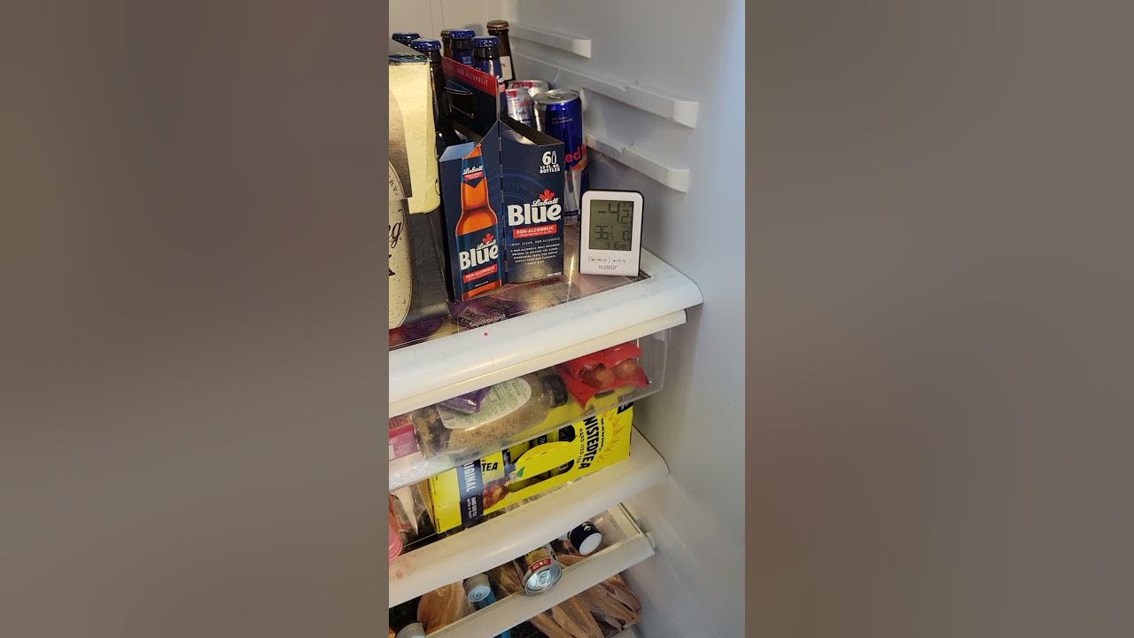 Tips to Put a Refrigerator in your Garage 