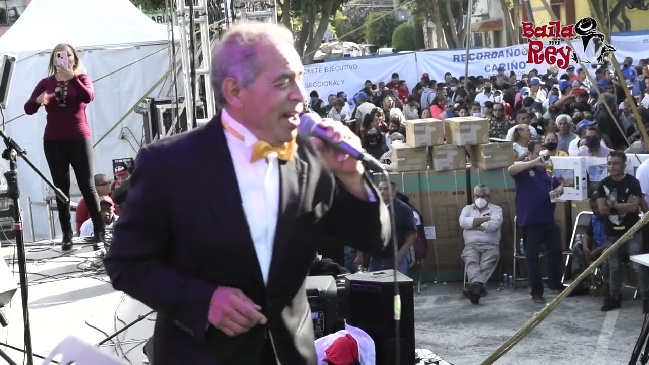 Lágrimas de escarcha | Gatos All Star  con Nayeli en vivo.