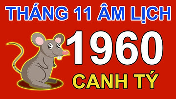 Tử Vi Tuổi Canh Tý 1960 Trong Tháng 11 năm 2022 Âm Lịch Nhâm Dần