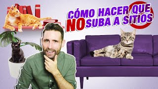 Cómo EVITAR que tu GATO SUBA a MUEBLES: MESA, ENCIMERA, MACETAS, SOFÁ, ESTANTERÍAS y más sitios