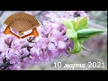 Грабли веерные  Для любителей канала Грабли Лайф 10 03 21