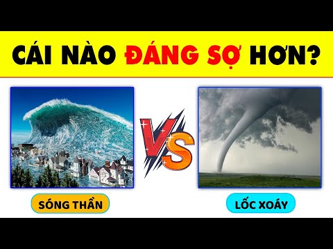 Video: Lịch của thảm họa phác thảo tháng nào để mong đợi bệnh tật cho thú cưng