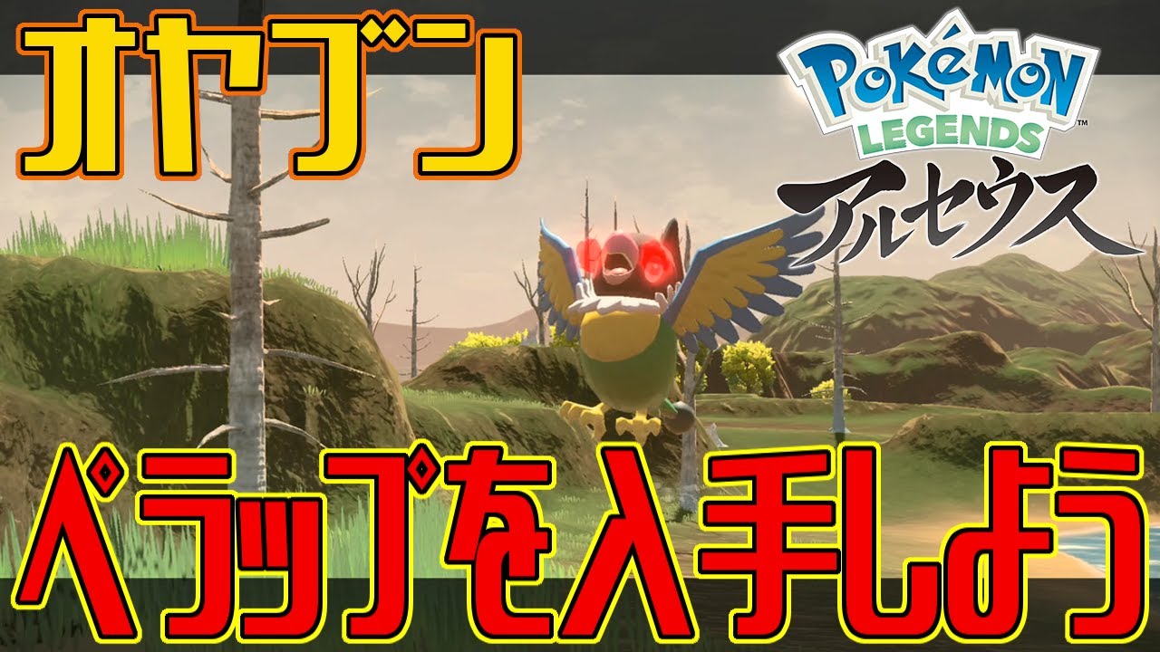 ポケモンアルセウス オヤブンのペラップを入手しよう Pokemon Legends アルセウス Youtube ポケモンアルセウス オヤブンのペラップを入手しよう Pokemon Legends アルセウス Youtube