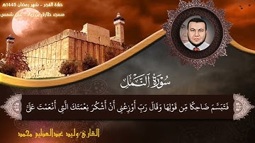 ما تيسر من سورة النمل القارئ وليد عبد العظيم محمد