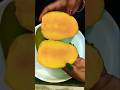 pahle log Safal hona chahte the 🤣🤣#mango #fruit #fruits #youtubeshorts #viralvideo #shorts #ytshorts